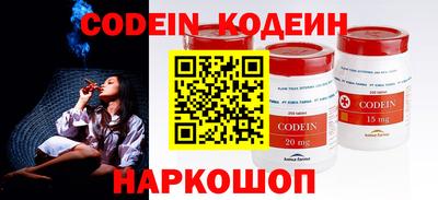 мдпв Кингисепп