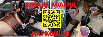 мдпв Кингисепп
