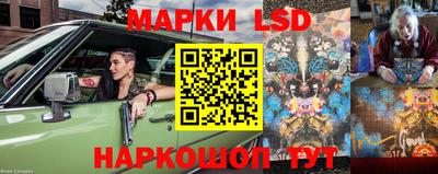мдпв Кингисепп