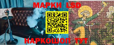 мдпв Кингисепп