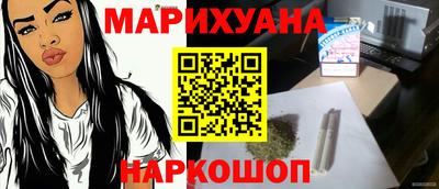 мдпв Кингисепп