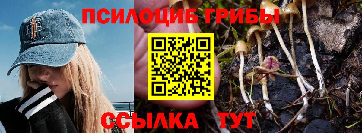 Лиски  Псилоцибиновые грибы MAGIC MUSHROOMS  Вход с VPN  Псилоцибиновые грибы мицелий 